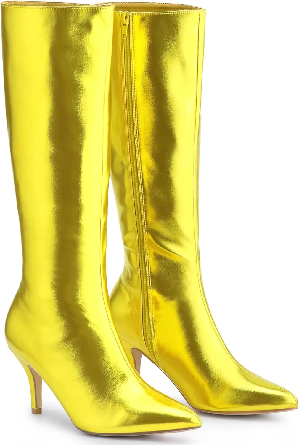 Perphy Pointed Toe Stiletto Heels Metallic Knee High Boots for Women